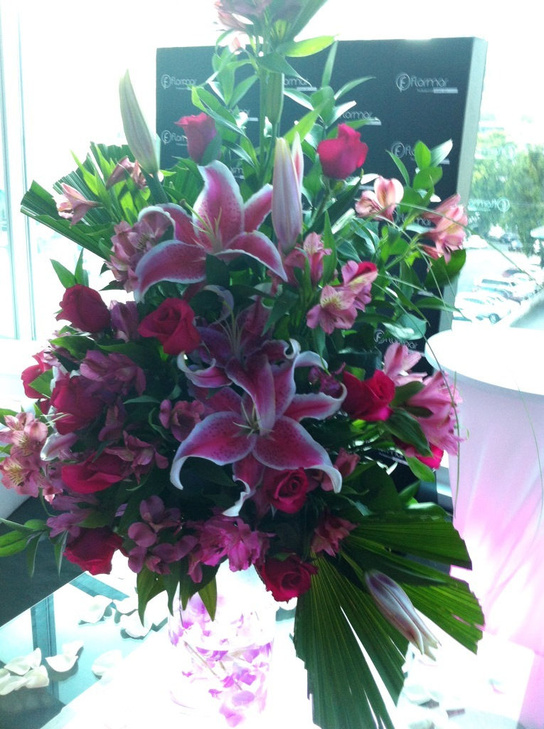 Organizacion de fiestas y eventos