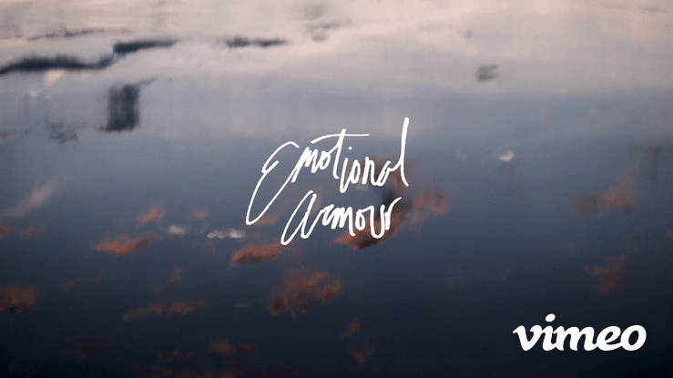 Emotional Armour (2019)-high.gif