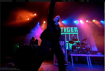 tigerjunge live.png