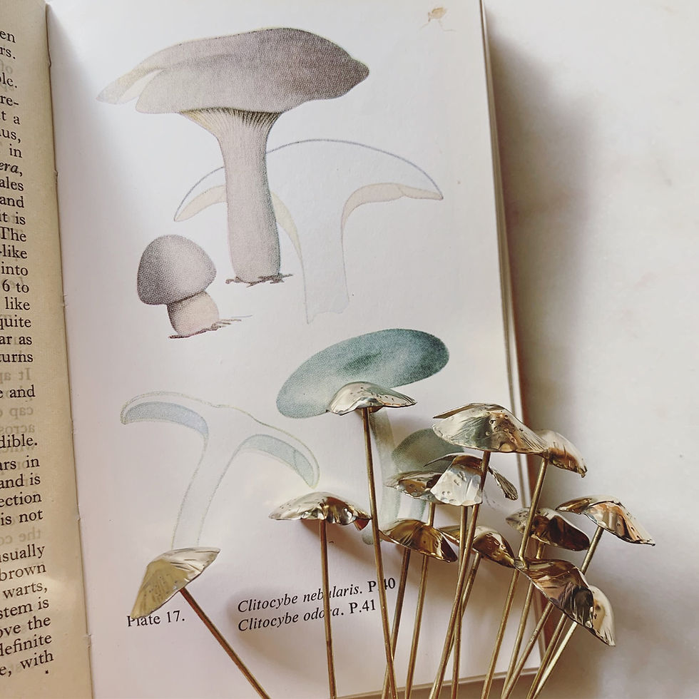 Thumbnail: MAGIC SHROOMS