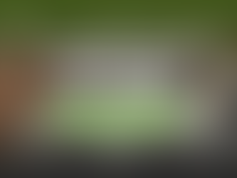 Warehouse Layout Planning: Why the New Year Doesn’t Reset Your Warehouse