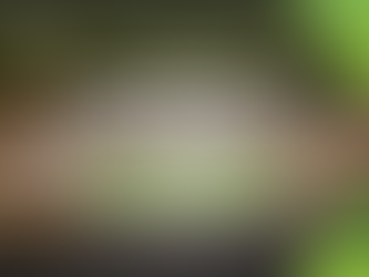 Warehouse Racking Layout: Why Unchanged Systems Eventually Work Against You