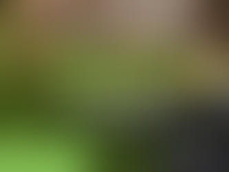 Warehouse Ergonomics: The Overlooked Key to Efficiency and Safety