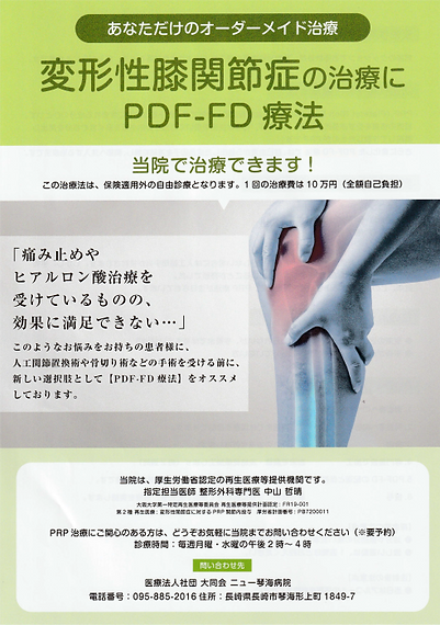 PDF-FD療法の説明