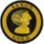 Metal detecting patch badge Saxon gold coin