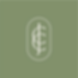 social_icon.png