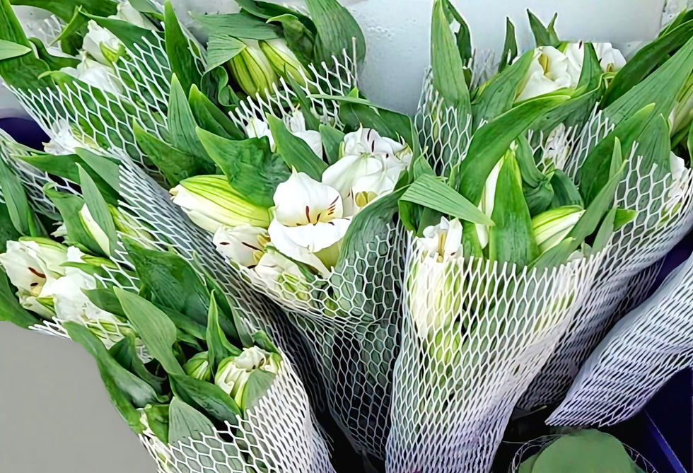 Thumbnail: Alstromerias