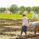Empowering Farmers.avif