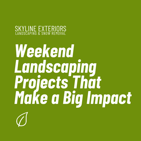 Weekend Landscaping Projects That Make a Big Impact