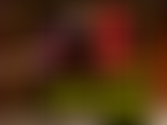 How We Structure Our Martial Arts Classes for Maximum Growth