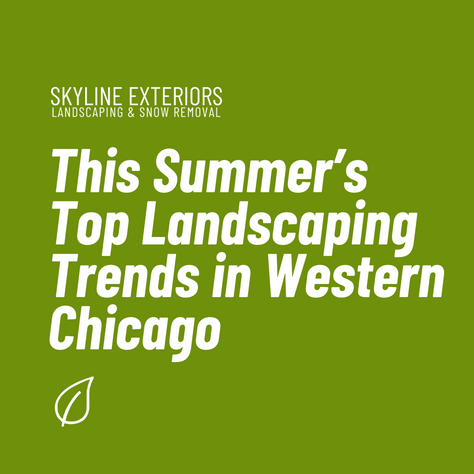 This Summer’s Top Landscaping Trends in Western Chicago