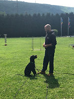 IMG_3212.jpeg