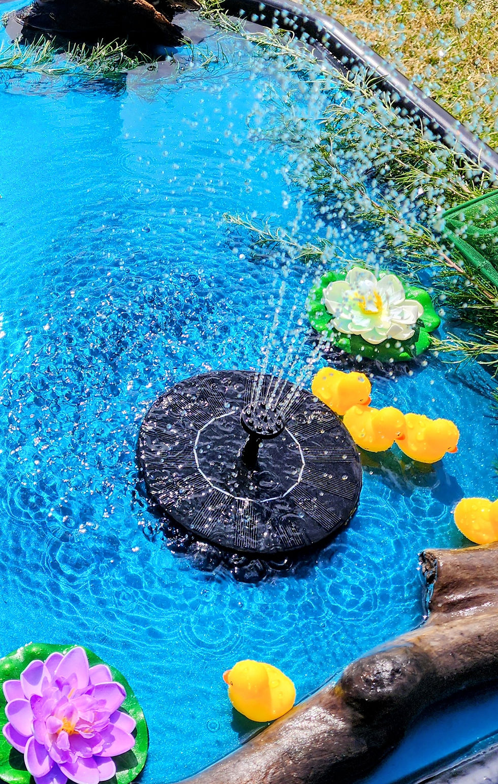 Solar Fountain