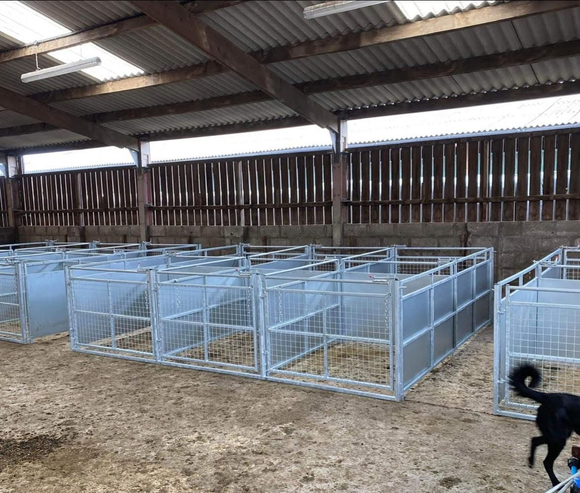 HOT DIPPED GALVANISED LAMBING PENS SET OF 6