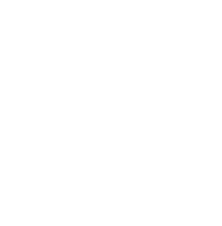 STEAM (8)_edited.png