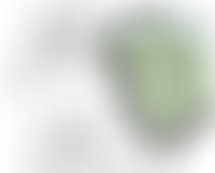 "The House That Wasn't There" Part 2