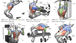 スクワットのバリエーション