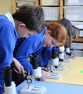 School activities.JPG