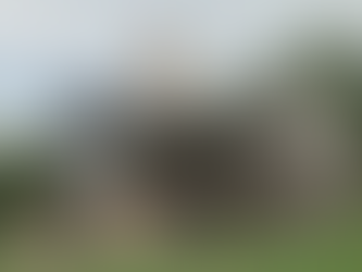 Burns Bluff at high falls