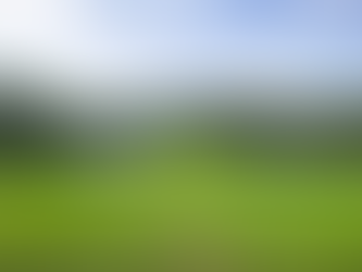 The Michael Wedding Barn In anniston, alabama