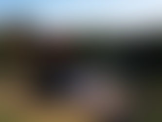 Oris and Oak in Hoover, Alabama Walkthrough Tour