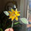 Thumbnail: Flower Plant Stakes