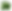 a decorative plant for app design by crystal clear media digital marketing sunshine coast brisbane gold coast