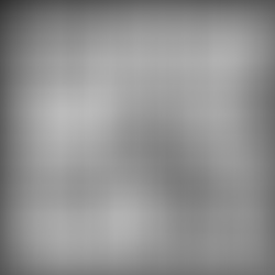Wochenrätsel 19. Februar 2020 und die Lösung zu letzter Woche