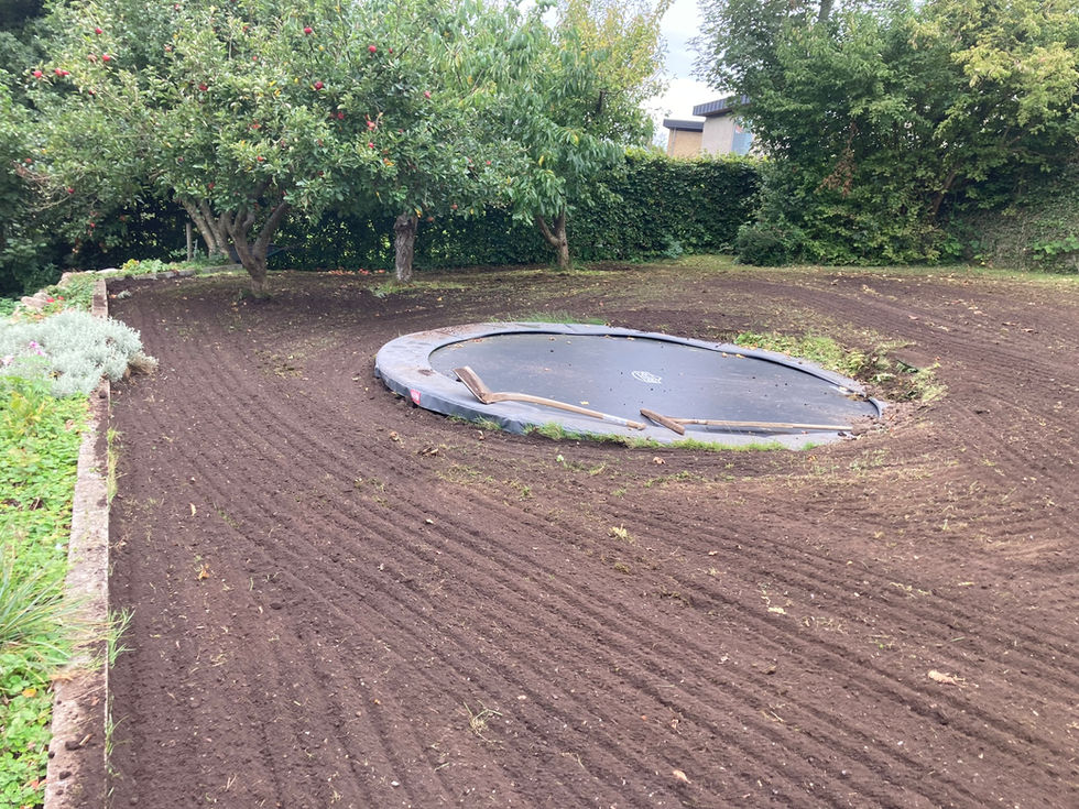 71767428890__0822C1DC-4633-47DD-B0AE-A8ED74640EB3