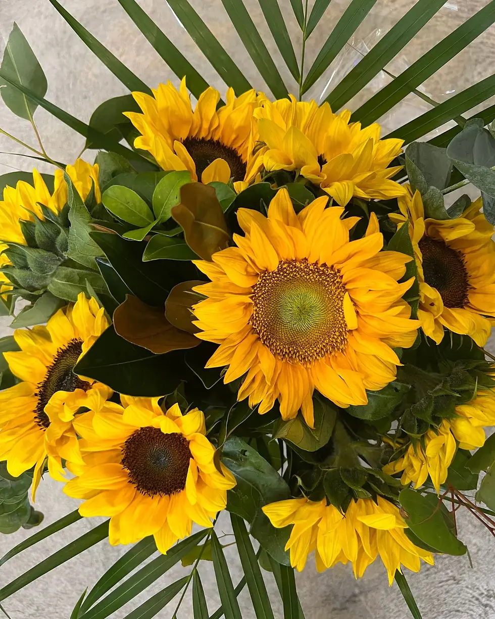 Thumbnail: Sunflower