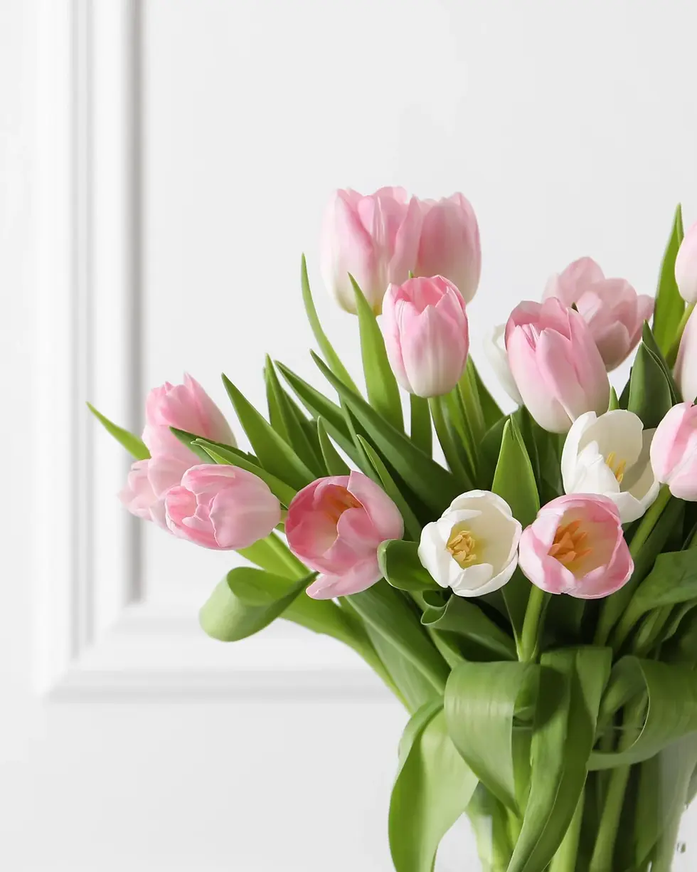 Thumbnail: Tulips