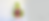 Rainbowflowersbanner.png