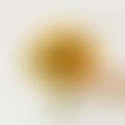 Are Sunflowers Safe for Pets? Everything Pet Owners Need to Know