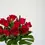 Thumbnail: Romantic Ruby - 12 Roses