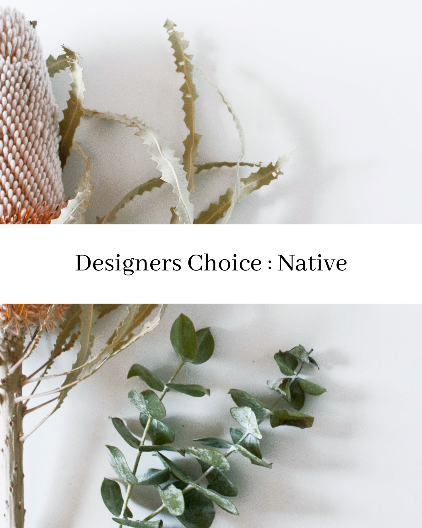 Designer's Choice: Native