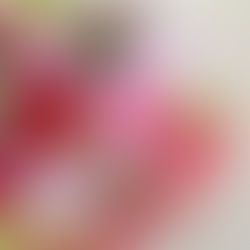 Flourishing Blossoms: The Ultimate Guide to Flower Care