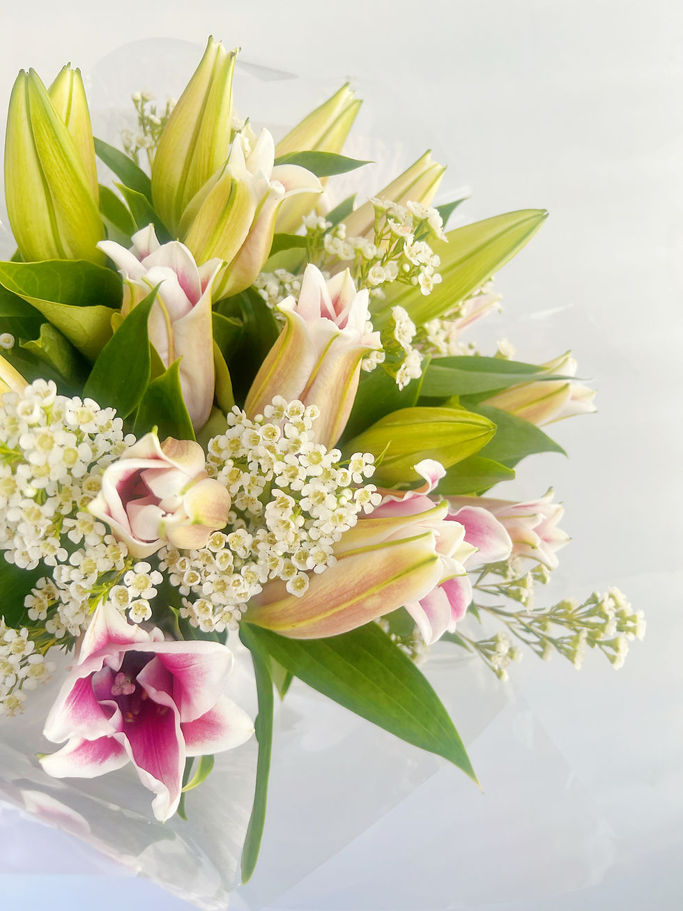 Thumbnail: Blush Lilies