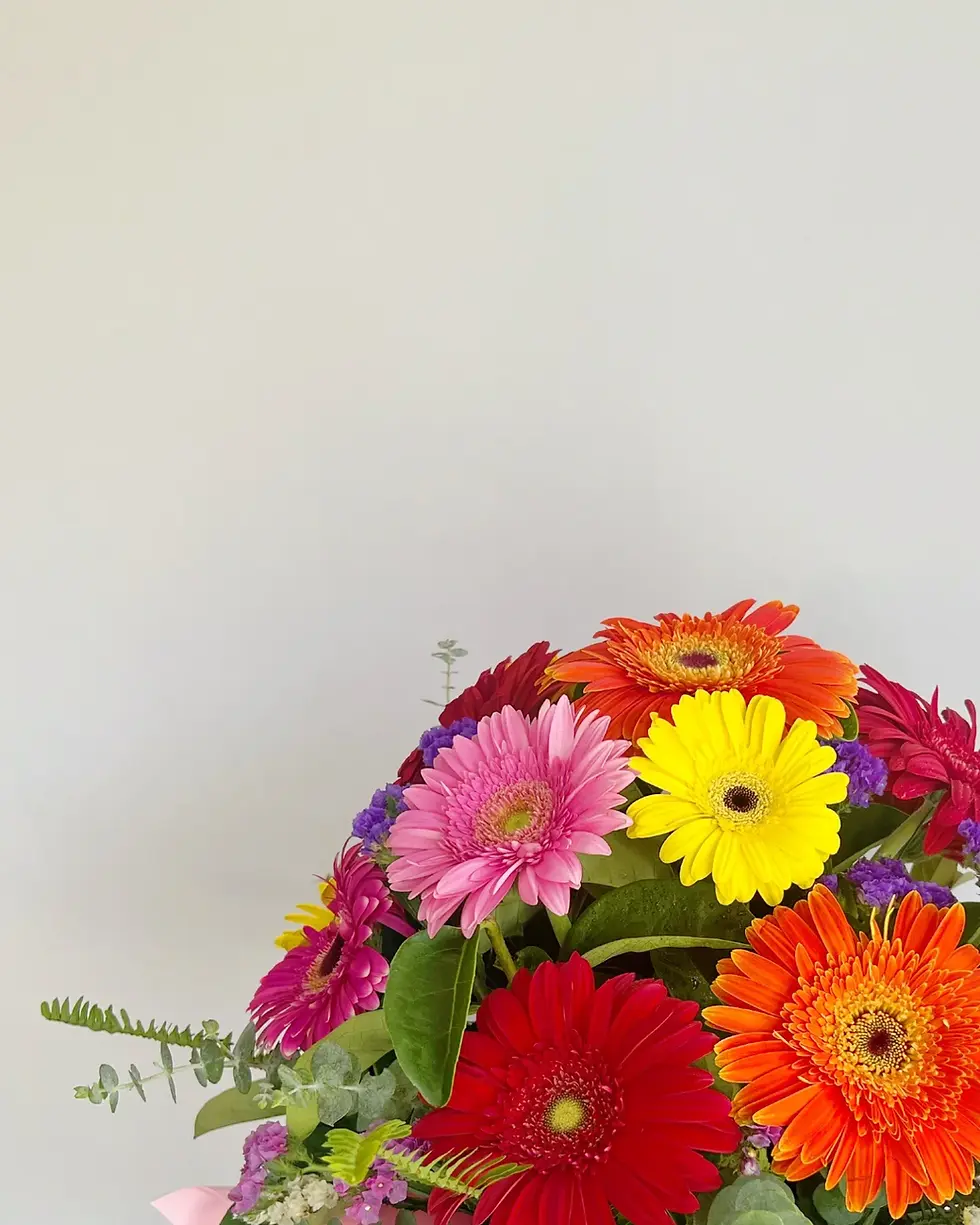 Thumbnail: Gerberas! 