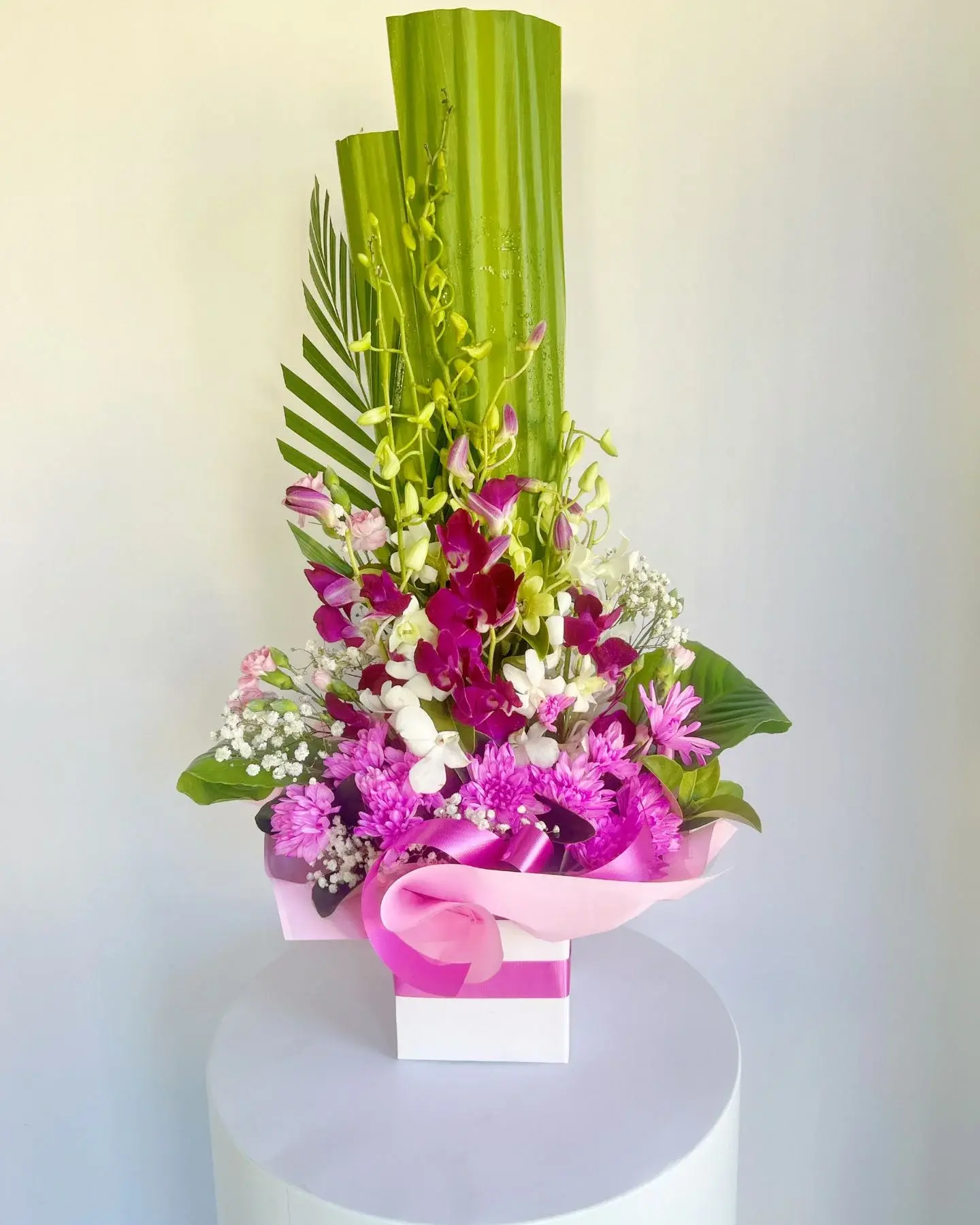 Bliss Orchids Arrangment