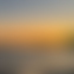 Discover Terrigal - Central Coast Gem of Australia