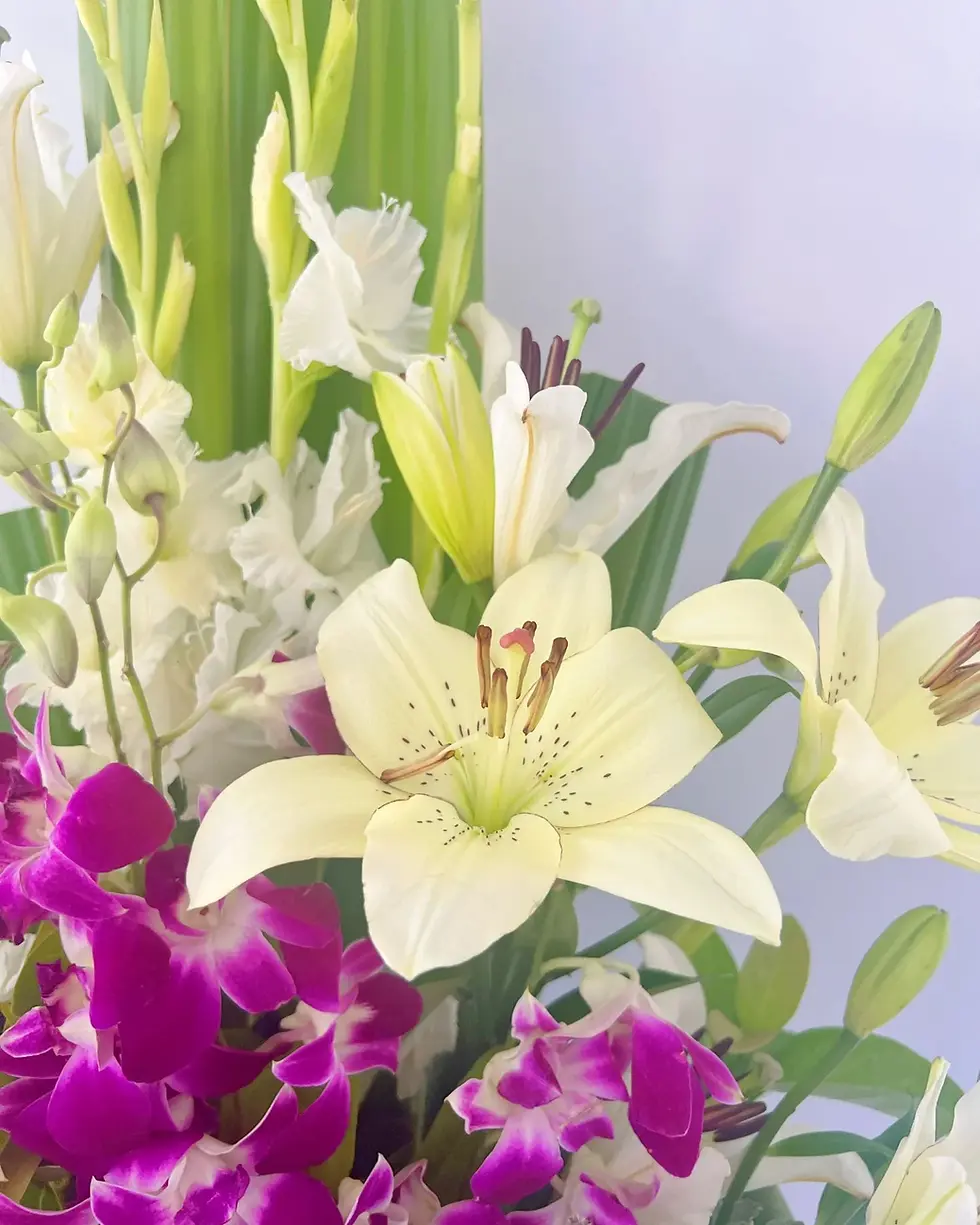 Thumbnail: Ophelia snow