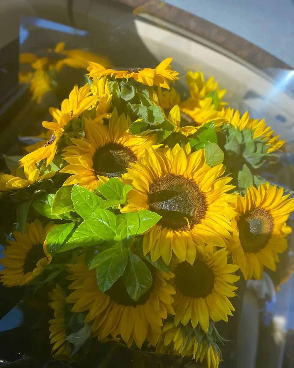 Thumbnail: Sunflower