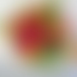 The Symbolism of Rose Colours: What You Need to Know