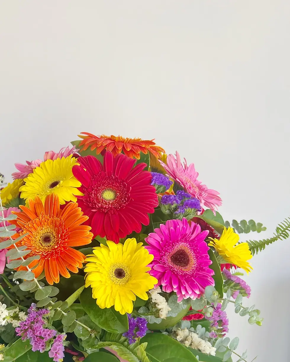 Thumbnail: Gerberas! 