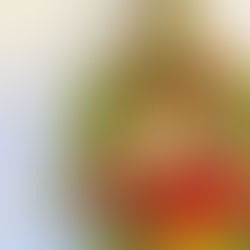 How to Choose the Perfect Get-Well Flowers for Hospital Visits