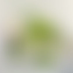 100 Thoughtful Messages for Father’s Day Cards