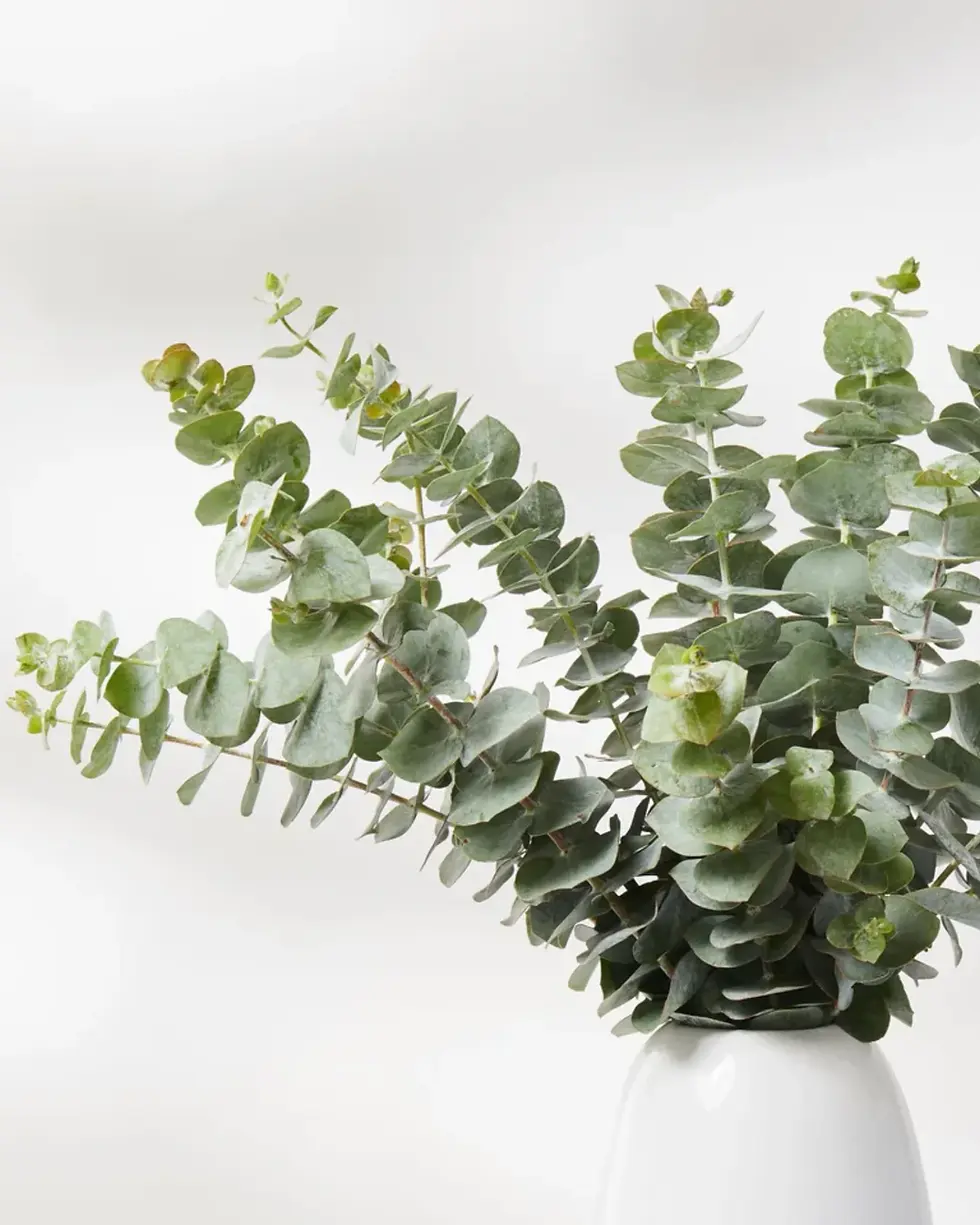 Thumbnail: Eucalyptus Bouquet