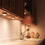 Thumbnail: Led Surface Undercabinet Spotlight