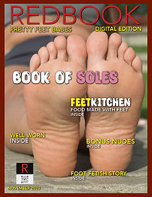 REDBOOK PFB Book of soles cover.jpg