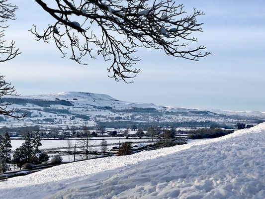 Winter January 2021